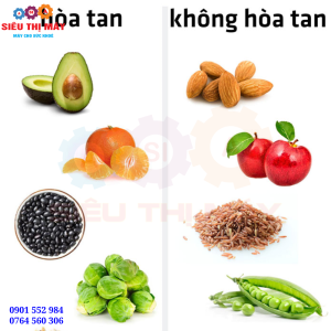 Sự khác biệt giữa chất xơ tan và chất xơ không tan